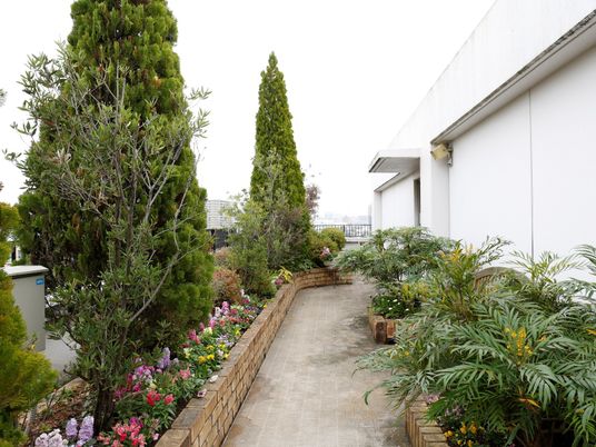 緑豊かな植栽の中庭
