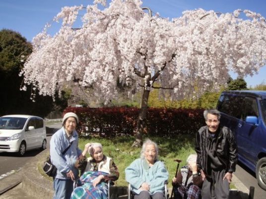 桜と共に笑顔の集合
