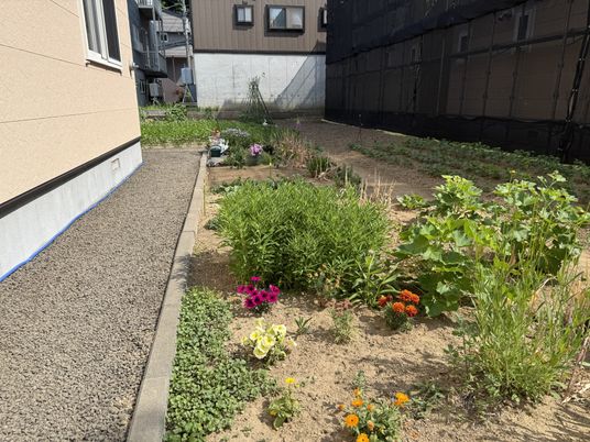 色とりどりの花が咲く庭