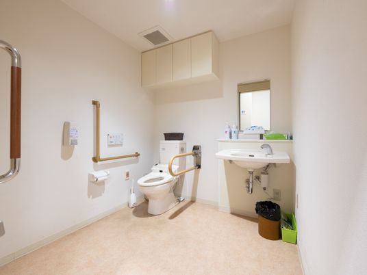 トイレの横には可動式の手すりとＬ字型の手すりが取りつけられている。同じスペースに洗面台が設置されている。