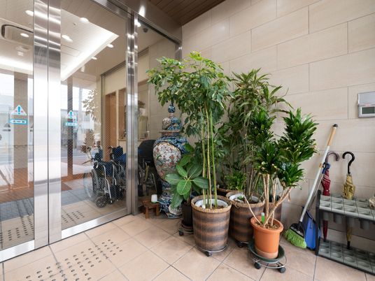 ガラスの自動ドアの前に鉢植えの観葉植物が複数飾られている。その他、骨董風の壺の置物や傘立てなどが壁際に置かれている。