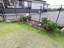 中庭の緑と装飾