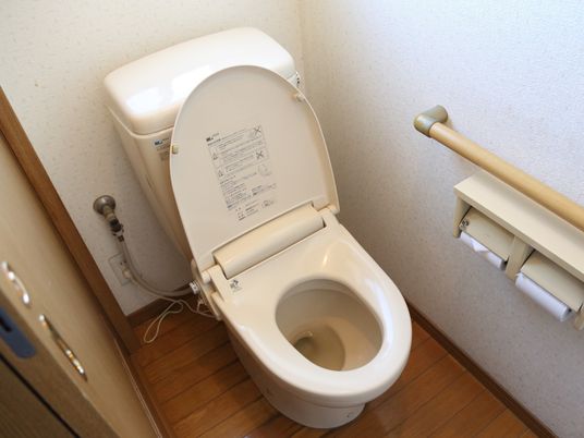 手すり付き清潔なトイレ