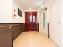 清潔な廊下とエレベーター