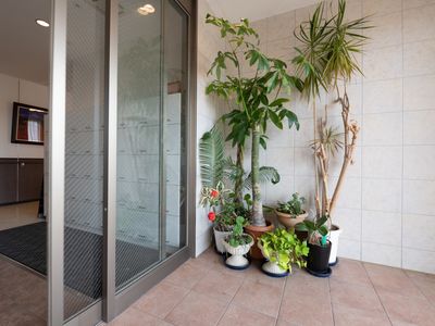 エントランスの観葉植物