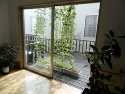 明るい部屋の窓とテラス