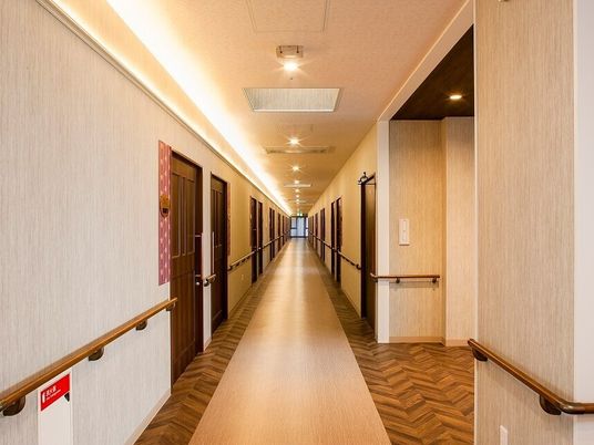 清潔感溢れる明るい廊下