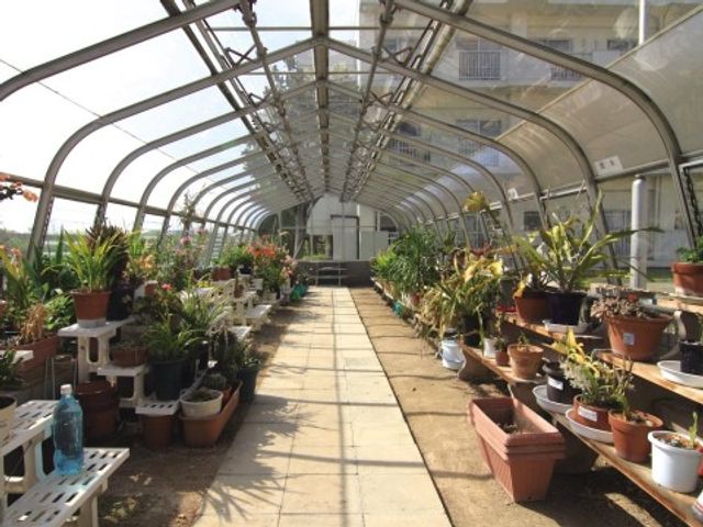 多様な植物の温室通路