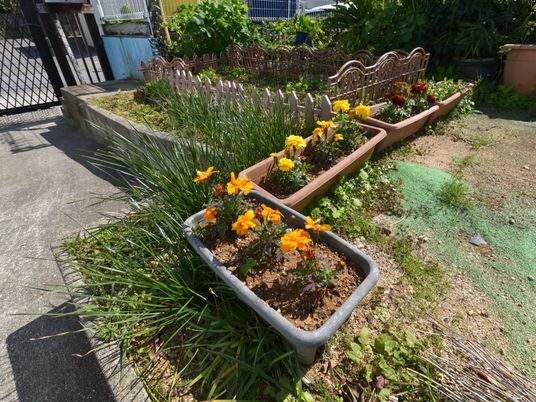 手入れされた小さな庭