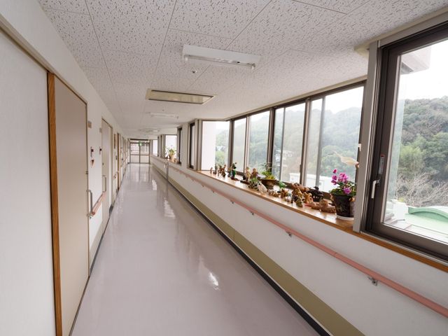 清潔感ある廊下と窓