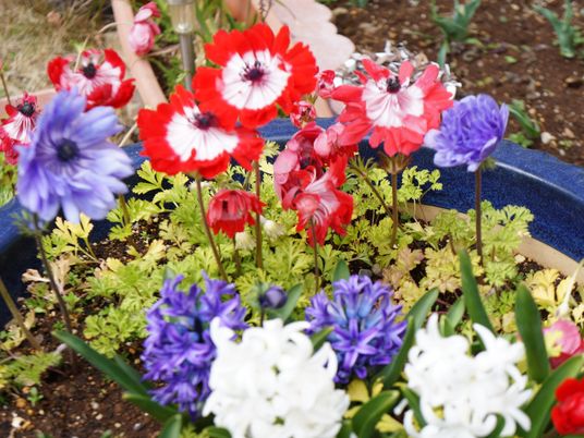 カラフルな花が植えられた庭