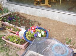 カラフルな花のある庭