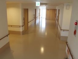明るい廊下の様子