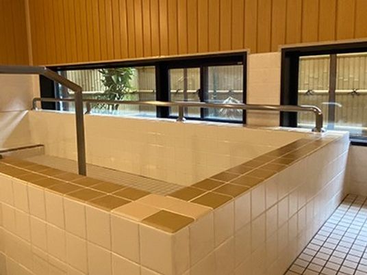 浴室の手すり付き洗い場  