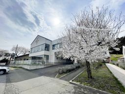 満開の木が見える建物外観