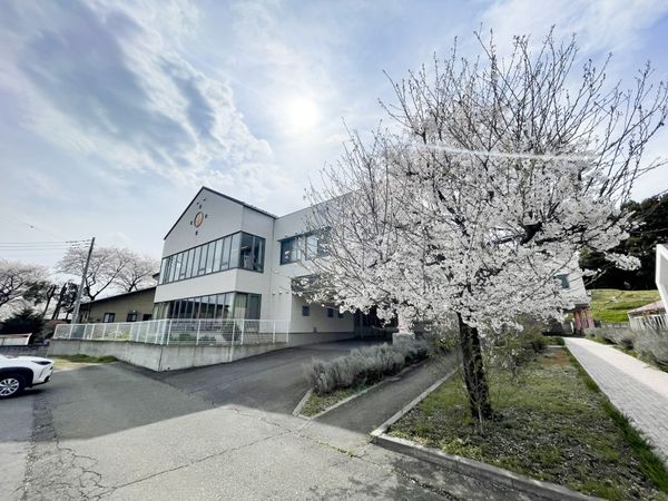 満開の木が見える建物外観