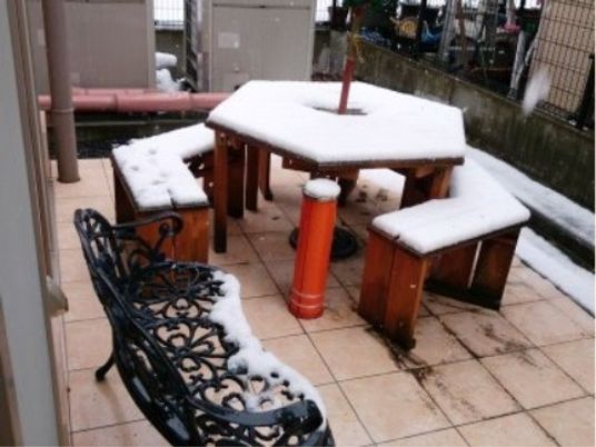 雪が積もった中庭