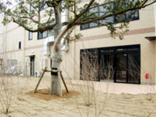 新緑の樹木と建物