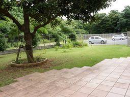 緑豊かな中庭風景