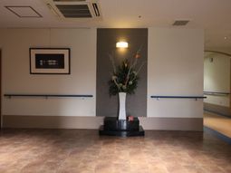廊下の花とアート