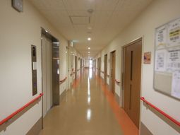 清潔な廊下の様子