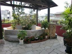 中庭の植物とベンチ