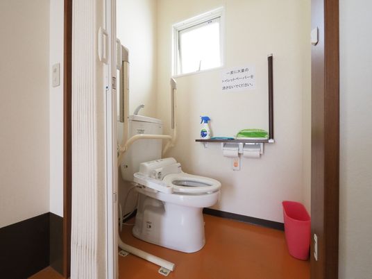 手すり付きトイレの明るい空間