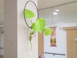 緑の葉とポスターの廊下