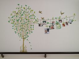 壁に描かれた木と写真