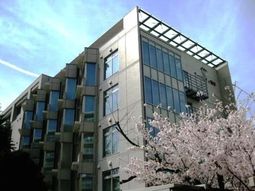 桜と建物の外観