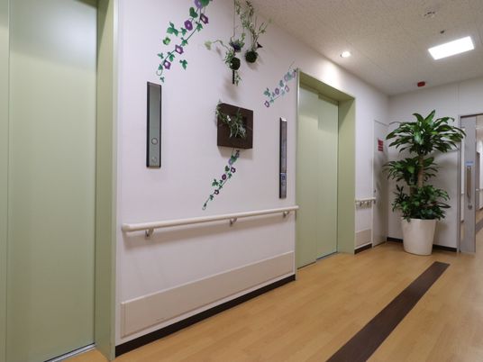 清潔な廊下と植物の装飾