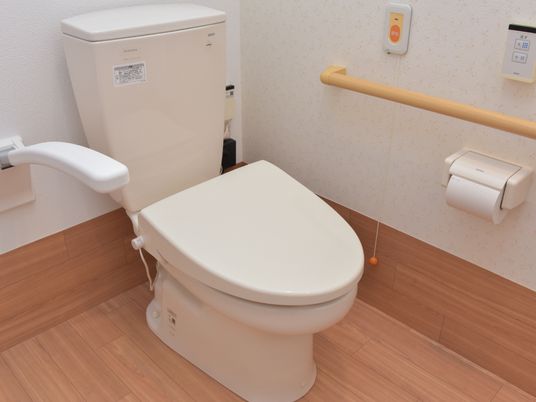 手すり付きの清潔なトイレ