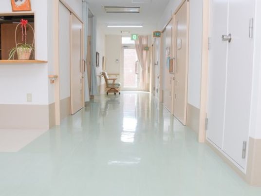 清潔感ある明るい廊下