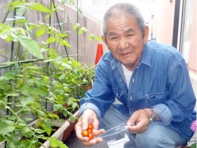 笑顔の男性とトマト栽培