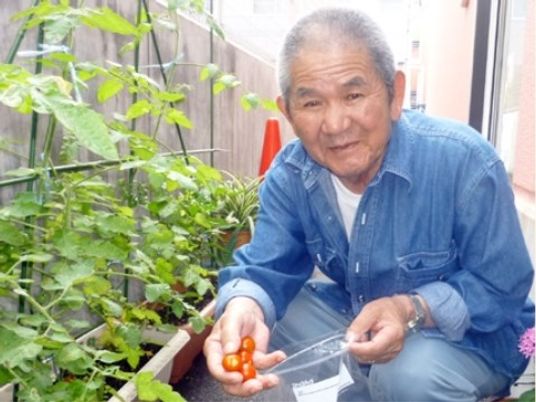 笑顔の男性とトマト栽培
