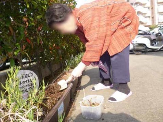 庭園での植物の手入れ