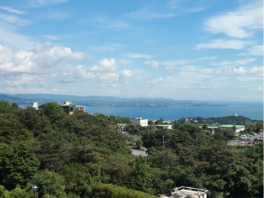 海を望む緑豊かな景観