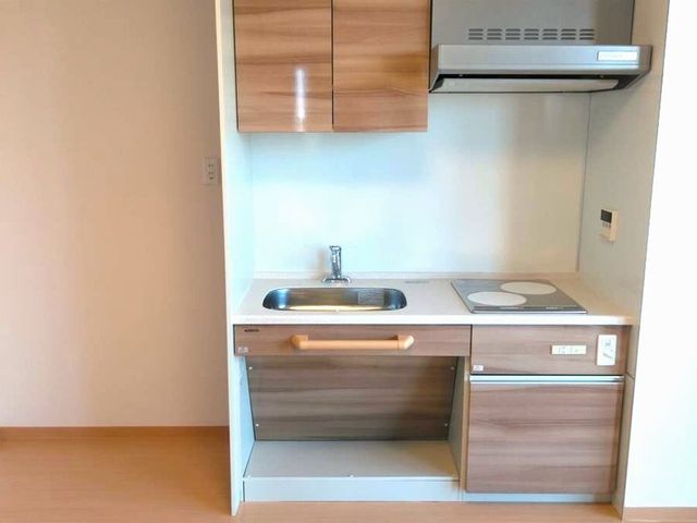 清潔感のあるキッチンスペース 居室（1DK）キッチン シンプルで機能的な居室のキッチンです。快適にお料理ができる工夫がされています。