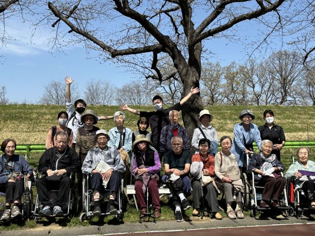 お花見
