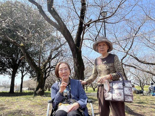 お花見