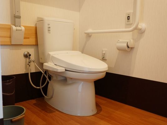 手すり付き清潔なトイレ