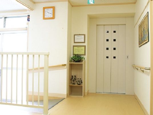 清潔な廊下とエレベーター