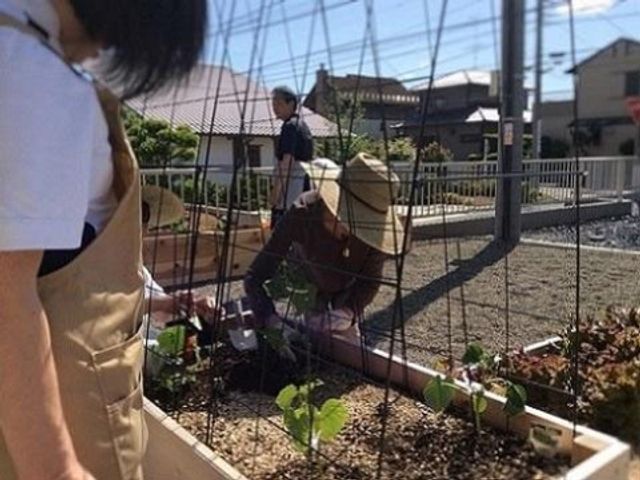 スタッフと利用者の中庭 レクリエーション 温もりのある中庭で、スタッフと利用者が園芸活動を共に楽しんでいます。緑に囲まれた空間で日々の心地よいひとときを過ごせます。