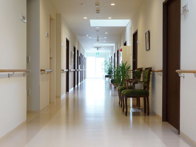 明るく広々とした廊下 廊下 手すりが設置された廊下は清潔感があり、安全に歩行できます。緑の植物が心地よいアクセントを加えています。