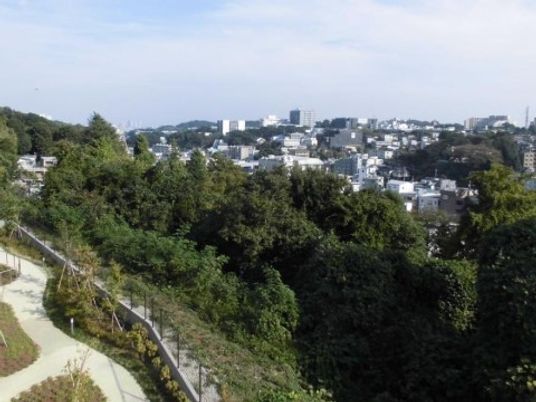 緑豊かな散歩道