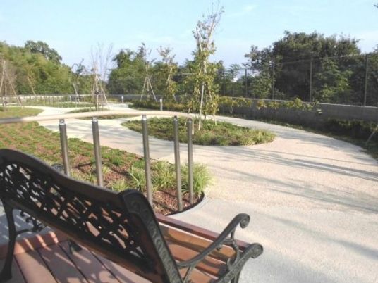 ベンチと緑の庭