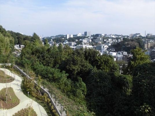 緑豊かな中庭風景