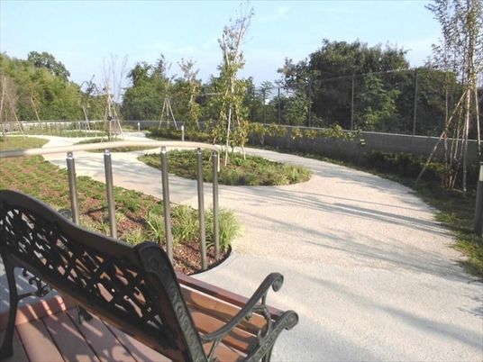 緑豊かな庭の景観