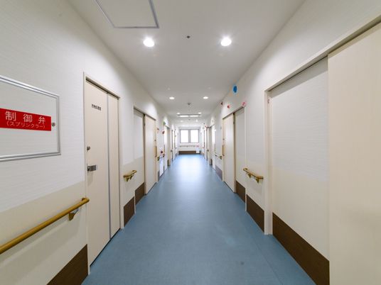 清潔な廊下と部屋のドア