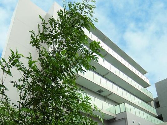 緑に囲まれた建物外観